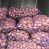 картофель продовольственный в Орле 3
